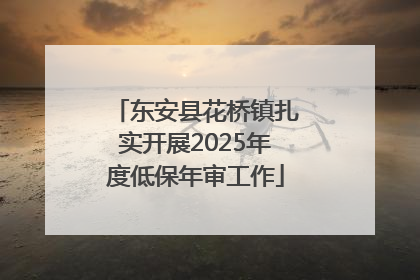 东安县花桥镇扎实开展2025年度低保年审工作