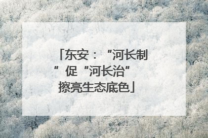 东安：“河长制”促“河长治” 擦亮生态底色