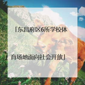东昌府区6所学校体育场地面向社会开放