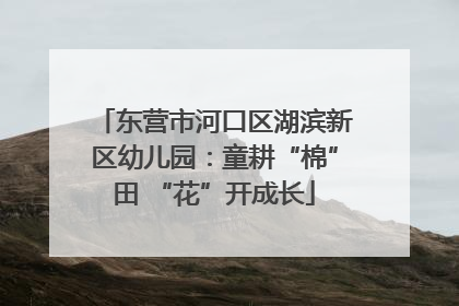 东营市河口区湖滨新区幼儿园：童耕“棉”田 “花”开成长