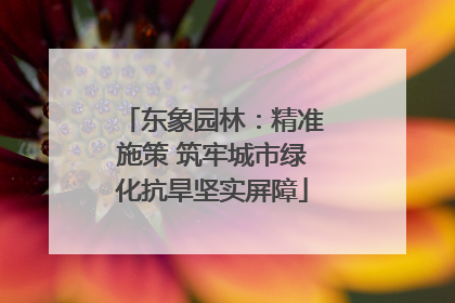 东象园林：精准施策 筑牢城市绿化抗旱坚实屏障