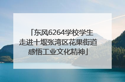 东风6264学校学生走进十堰张湾区花果街道感悟工业文化精神