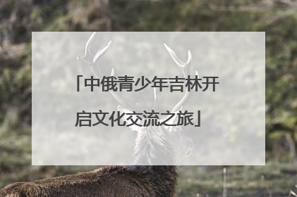 中俄青少年吉林开启文化交流之旅