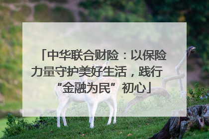 中华联合财险：以保险力量守护美好生活，践行“金融为民”初心