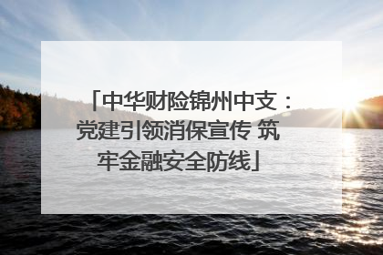 中华财险锦州中支：党建引领消保宣传 筑牢金融安全防线