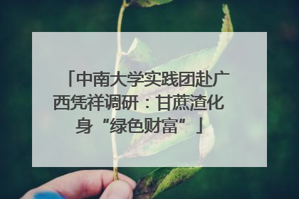 中南大学实践团赴广西凭祥调研：甘蔗渣化身“绿色财富”