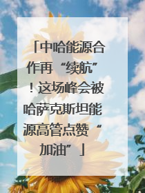 中哈能源合作再“续航”！这场峰会被哈萨克斯坦能源高管点赞“加油”