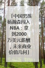 中国男孩杨瀚森闯入NBA：拿到2000万美元薪酬，未来商业价值几何