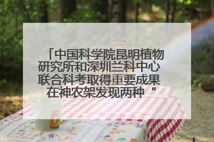 中国科学院昆明植物研究所和深圳兰科中心联合科考取得重要成果 在神农架发现两种“国保”级兰花