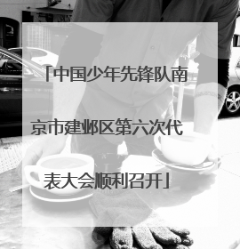 中国少年先锋队南京市建邺区第六次代表大会顺利召开
