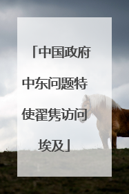 中国政府中东问题特使翟隽访问埃及