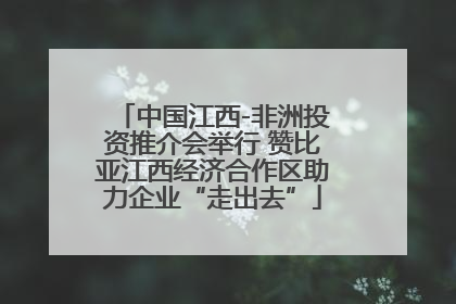 中国江西-非洲投资推介会举行 赞比亚江西经济合作区助力企业“走出去”