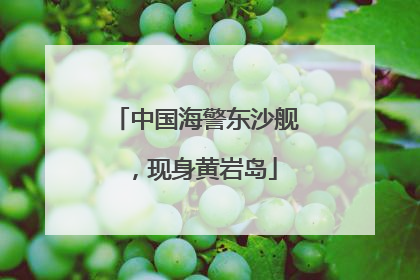 中国海警东沙舰，现身黄岩岛