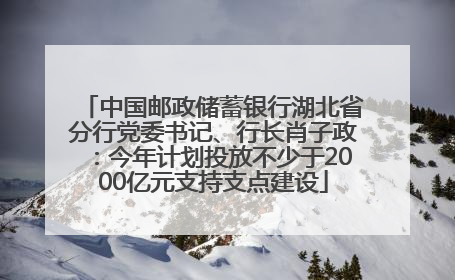 中国邮政储蓄银行湖北省分行党委书记、行长肖子政：今年计划投放不少于2000亿元支持支点建设