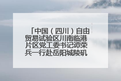 中国（四川）自由贸易试验区川南临港片区党工委书记谭荣兵一行赴岳阳城陵矶综保区考察