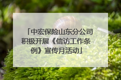 中宏保险山东分公司积极开展《信访工作条例》宣传月活动
