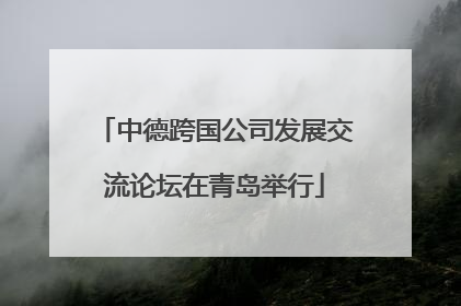 中德跨国公司发展交流论坛在青岛举行