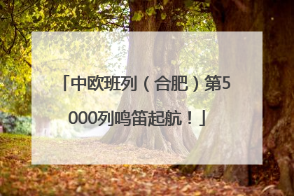 中欧班列（合肥）第5000列鸣笛起航！