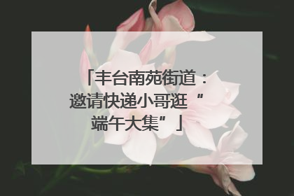丰台南苑街道：邀请快递小哥逛“端午大集”