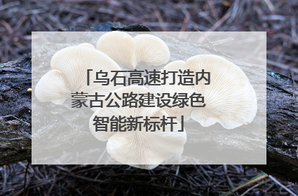 乌石高速打造内蒙古公路建设绿色智能新标杆