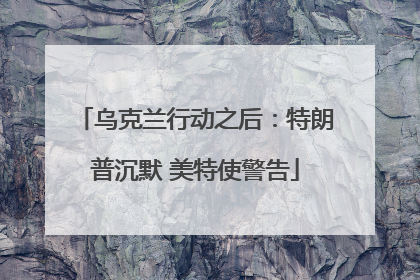 乌克兰行动之后：特朗普沉默 美特使警告