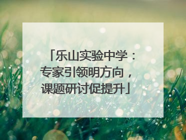 乐山实验中学：专家引领明方向，课题研讨促提升