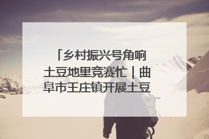 乡村振兴号角响 土豆地里竞赛忙｜曲阜市王庄镇开展土豆收获劳动竞赛