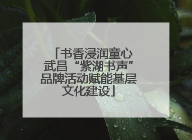 书香浸润童心 武昌“紫湖书声”品牌活动赋能基层文化建设