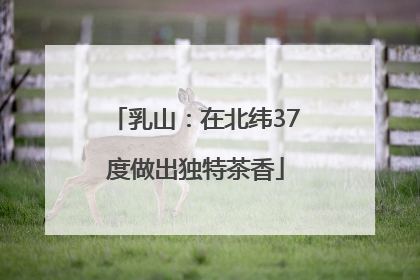 乳山：在北纬37度做出独特茶香