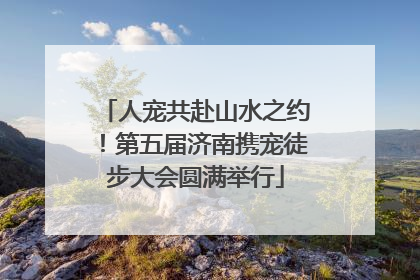 人宠共赴山水之约！第五届济南携宠徒步大会圆满举行