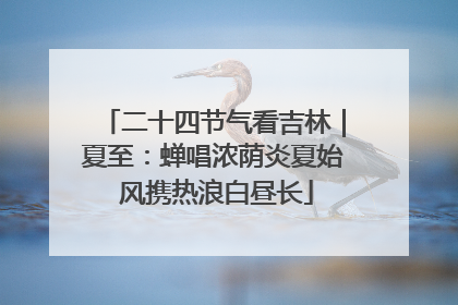 二十四节气看吉林｜夏至：蝉唱浓荫炎夏始 风携热浪白昼长