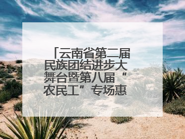 云南省第二届民族团结进步大舞台暨第八届“农民工”专场惠民演出启幕