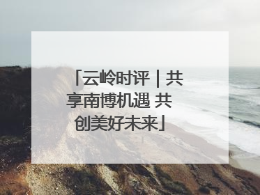 云岭时评｜共享南博机遇 共创美好未来