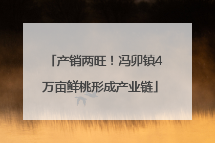 产销两旺！冯卯镇4万亩鲜桃形成产业链