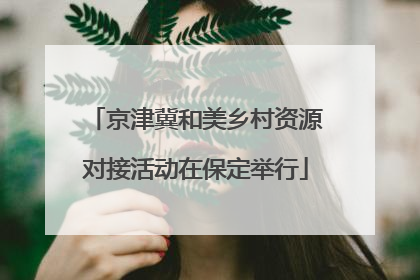 京津冀和美乡村资源对接活动在保定举行