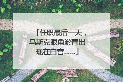 任职最后一天，马斯克眼角淤青出现在白宫……