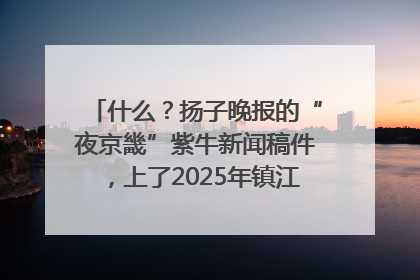 什么？扬子晚报的“夜京畿”紫牛新闻稿件，上了2025年镇江中考模拟卷！