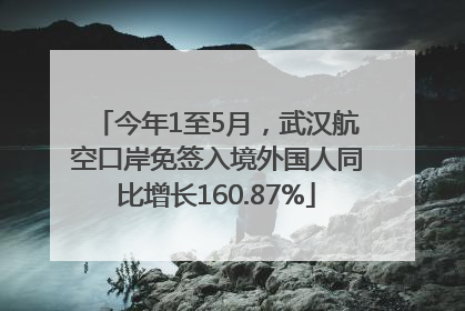 今年1至5月，武汉航空口岸免签入境外国人同比增长160.87%