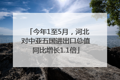 今年1至5月，河北对中亚五国进出口总值同比增长1.1倍