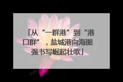 从“一群港”到“港口群”，盐城港向海图强书写崛起壮歌