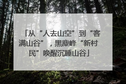 从“人去山空”到“客满山谷”，黑麋峰“新村民”唤醒沉睡山谷
