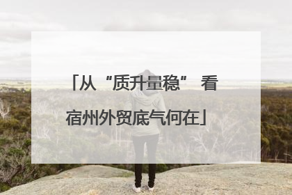 从“质升量稳” 看宿州外贸底气何在