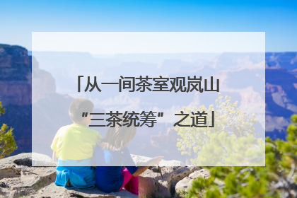 从一间茶室观岚山“三茶统筹”之道