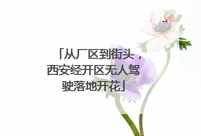 从厂区到街头，西安经开区无人驾驶落地开花