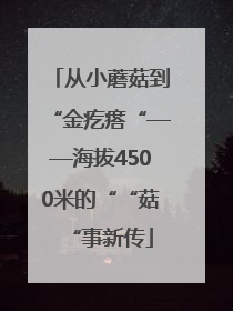 从小蘑菇到“金疙瘩“——海拔4500米的““菇“事新传