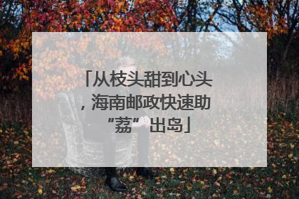 从枝头甜到心头，海南邮政快速助“荔”出岛