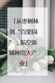 从枣树林到“百果园”，航空新城种出大产业