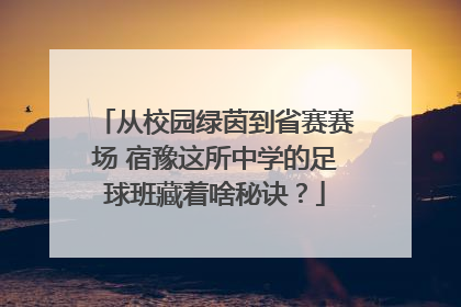 从校园绿茵到省赛赛场 宿豫这所中学的足球班藏着啥秘诀？