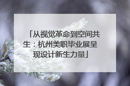 从视觉革命到空间共生：杭州美职毕业展呈现设计新生力量