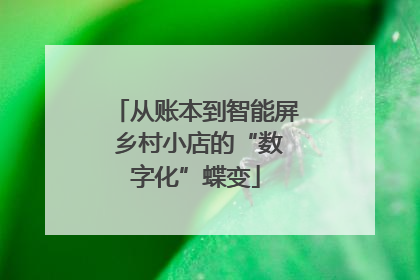 从账本到智能屏 乡村小店的“数字化”蝶变